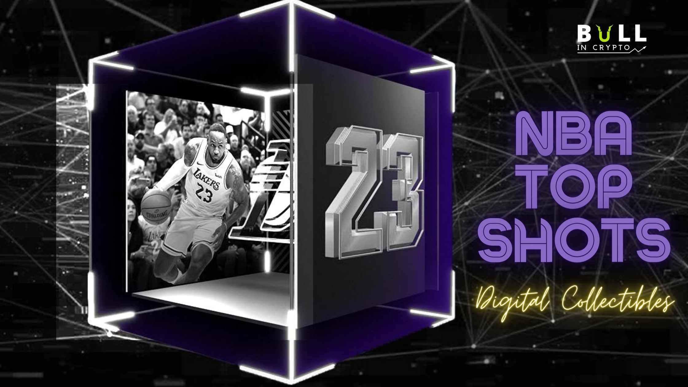 NBA Top Shot NFTs Coleectibles